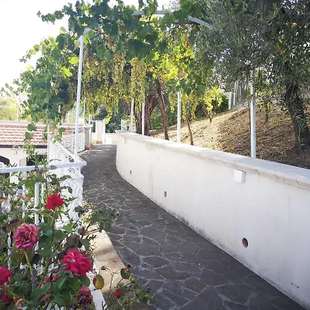 Margherita