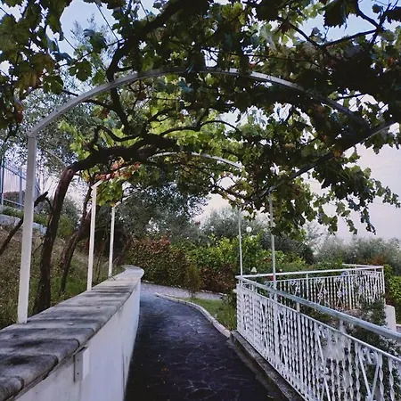 Bed & Breakfast Margherita *