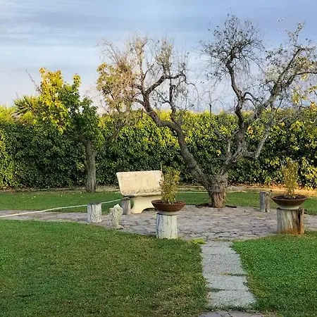 Margherita *