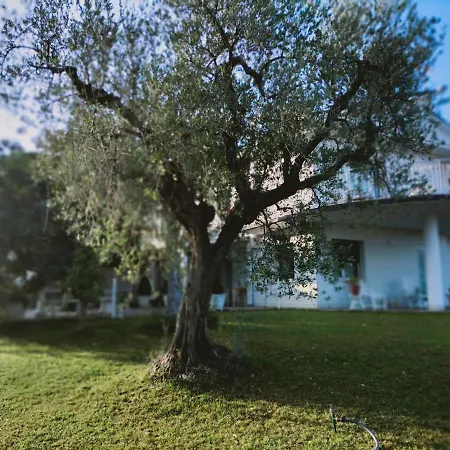 Margherita לינה וארוחת בוקר